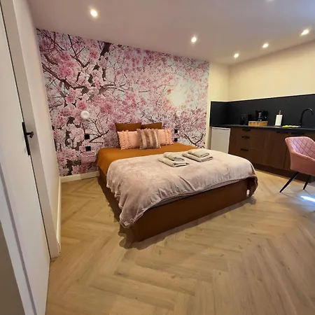 La Tete Dans Le Cerisier - Cv - Wi-fi Châlons-en-Champagne