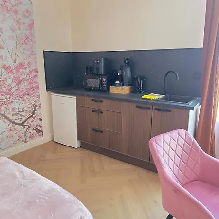 Apartment La Tete Dans Le Cerisier - Cv - Wi-fi Châlons-en-Champagne