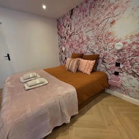 La Tete Dans Le Cerisier - Cv - Wi-fi Apartment Châlons-en-Champagne