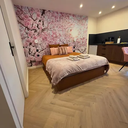 Apartment La Tete Dans Le Cerisier - Cv - Wi-fi Châlons-en-Champagne